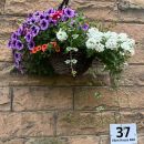 IMG_1409-tb.jpg...